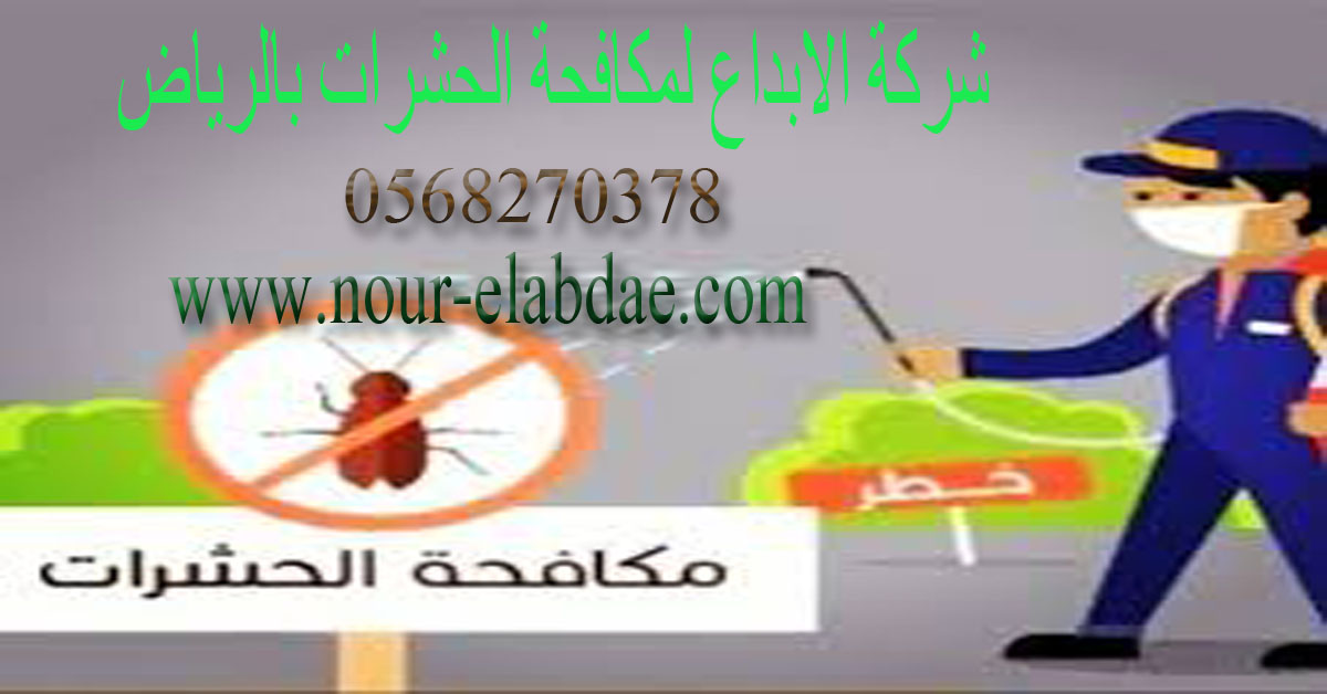 شركة مكافحة الحشرات بالرياض