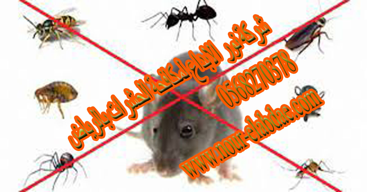 شركة مكافحة الحشرات بالرياض