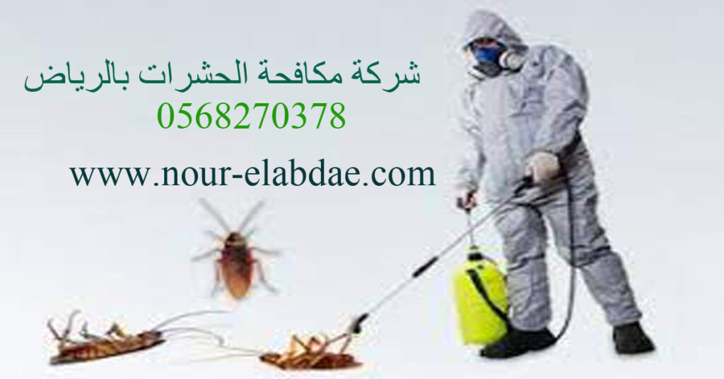شركة مكافحة الحشرات بالرياض