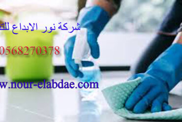 شركة مكافحة الحشرات بالرياض 0568270378