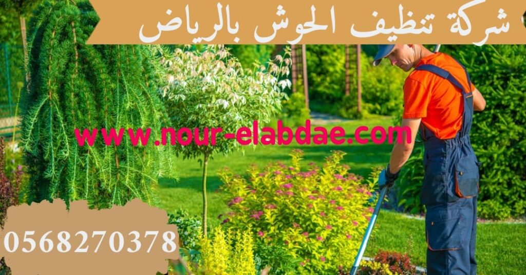 شركة تنظيف الحوش بالرياض
